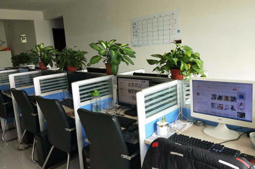 淘宝客服外包 价格标准与选择科技中介服务的优势解析